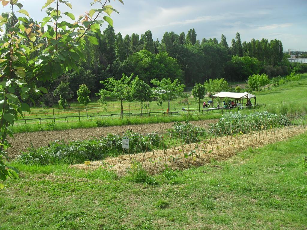 Agriturismo Case Mori Rimini Zewnętrze zdjęcie